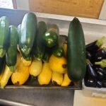 Resized_20240724_135512